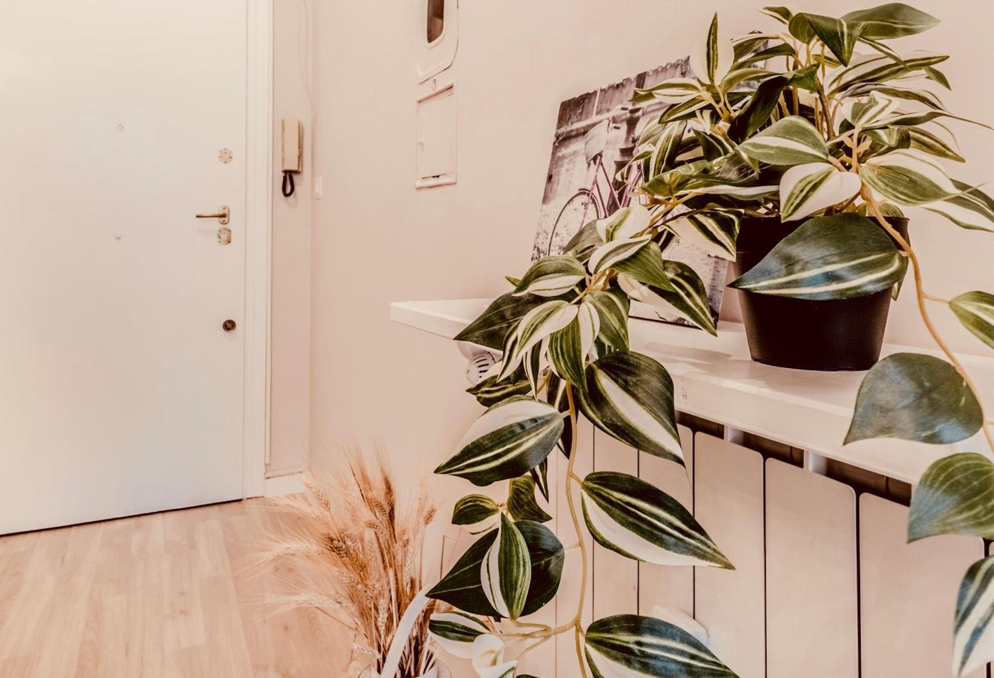 Domus Eleonora Apartment Rome Exterior photo